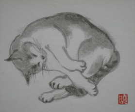 猫