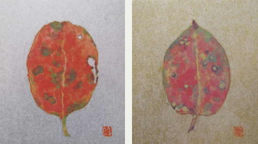 落ち葉